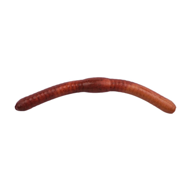 Berkley Berkley Gulp Alive Fat Floating Trout Worm 2in. Bait Nightcrawler