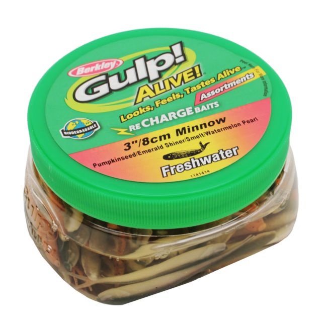 Berkley Gulp Alive Minnow Bait Assorted 3in. Emerald Shiner Pumpkin seed Smelt an 176764