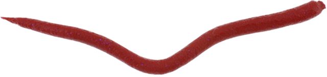 Berkley Gulp Bloodworm Bait Bloodworm 176387