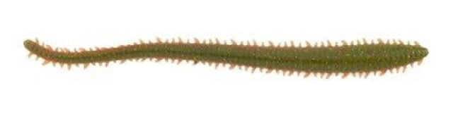 Berkley Berkley Gulp Saltwater Sandworm Soft Bait 2in 24 Pack Camo