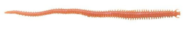 Berkley Berkley Gulp Saltwater Sandworm Soft Bait 2in 24 Pack Natural