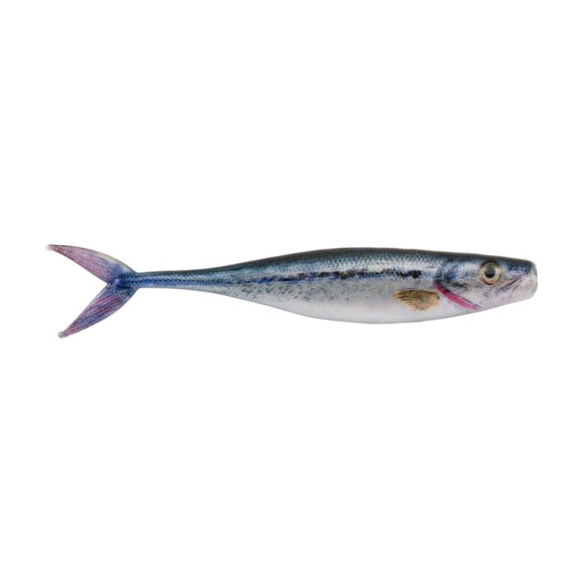 Berkley PowerBait Champ Minnow Minnow 10 3.4in Baby Bass