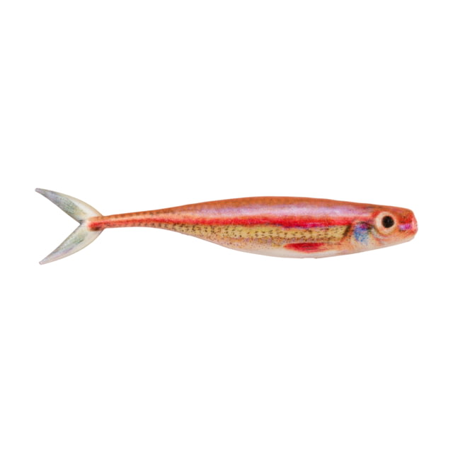 Berkley PowerBait Champ Minnow Minnow 10 3.4in Rainbow Shiner