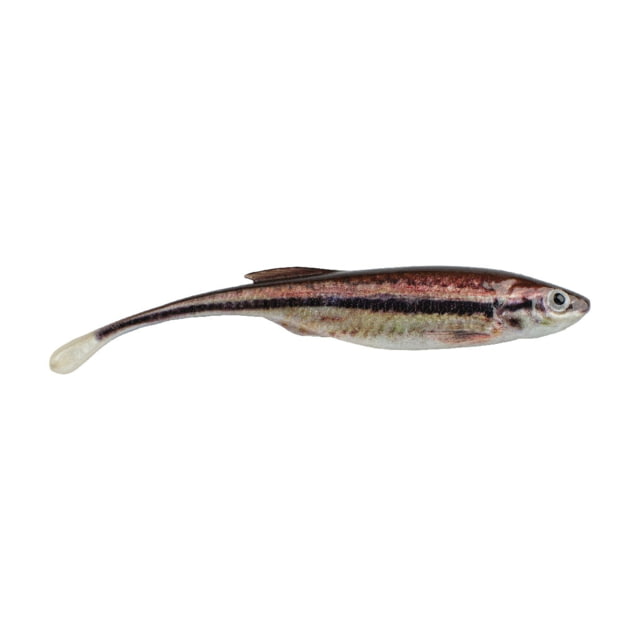 Berkley Berkley PowerBait Drip Minnow Soft Bait 3in 6 Pack HD Blacknose Shiner