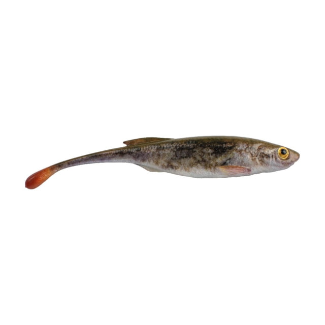 Berkley Berkley PowerBait Drip Minnow Soft Bait 4in 5 Pack HD Goby