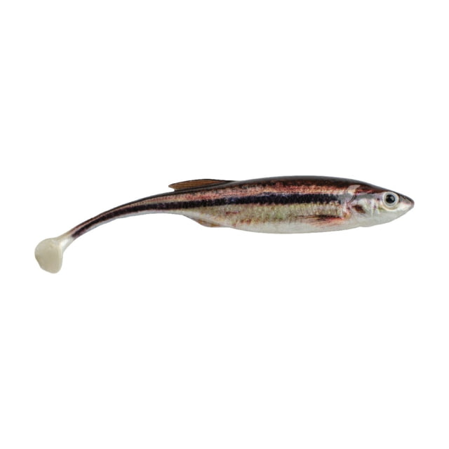 Berkley Berkley PowerBait Drip Swimmer Soft Bait 4in 5 Pack HD Blacknose Shiner