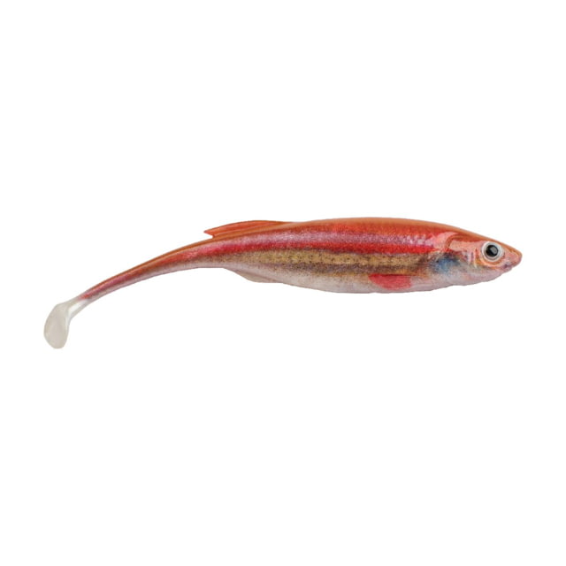 Berkley Berkley PowerBait Drip Swimmer Soft Bait 4in 5 Pack HD Rainbow Shiner