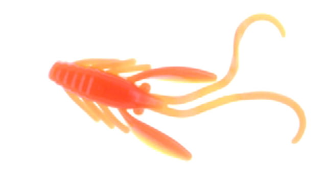 Berkley PowerBait Power Nymph Nymph 12 1in Yellow & Orange