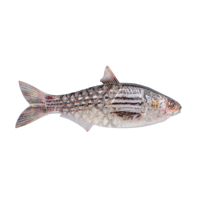 Berkley Berkley PowerBait Saltwater Gillydine Soft Bait Lures 4.5in 3 Pack HD Mullet 115