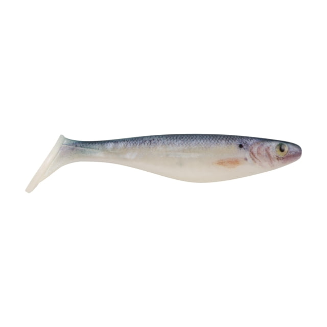Berkley PowerBait The Champ Swimmer Soft Bait 3in / 8cm HD Blueback Herring