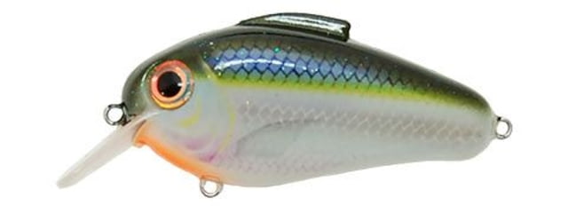 Bill Lewis Echo Soft Bait 1 2.25 -- 2.25in Blue Shiner