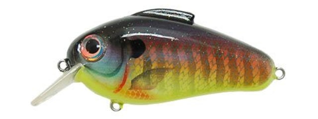 Bill Lewis Echo Soft Bait 1 2.25 -- 2.25in Sunrise Perch