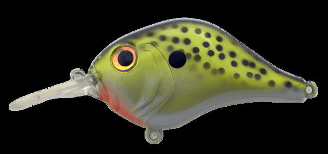 Bill Lewis MR 6 Soft Bait 1 2.25 -- 2.25in Cell Mate