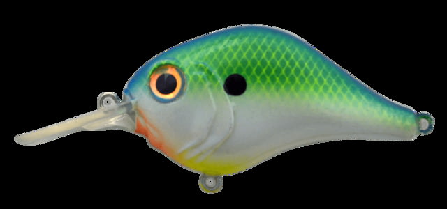 Bill Lewis MR 6 Shad 1 2.25 -- 2.25in Citrus Shad