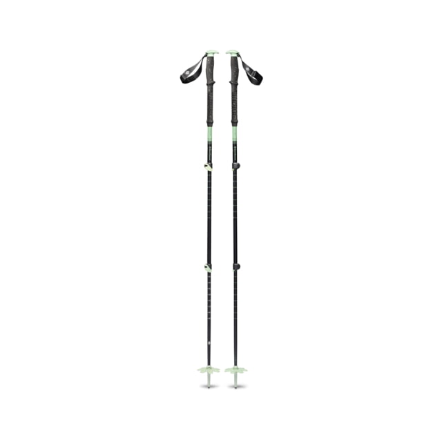 Black Diamond Expedition 3 Ski Poles Desert Sage 125 cm