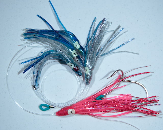 Blue Water Candy Squid Daisy Chain 6in Blue w/Pink Chaser