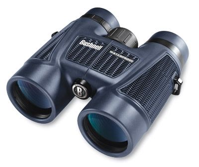 Bushnell H2O 10x42mm Roof Prism Waterproof Binoculars Black