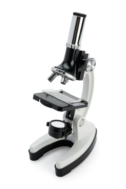 Celestron Kids Basic microscope Kit Stainless