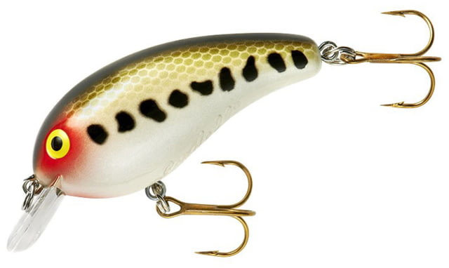 Cotton Cordell Cotton Cordell Big O Square Lip Crankbait 2.25in 1/3 oz Floating Baby Bass