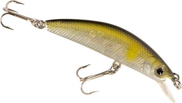 Daiwa Daiwa Dr Minnow Jerkbait Lure 2in 3/32oz Matte Ayu