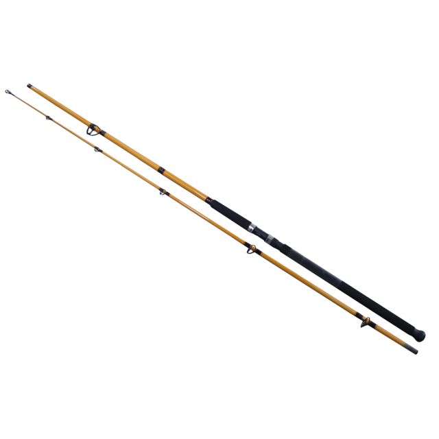 Daiwa FT Surf Spinning Rod 11ft Medium Fast 2 Pieces