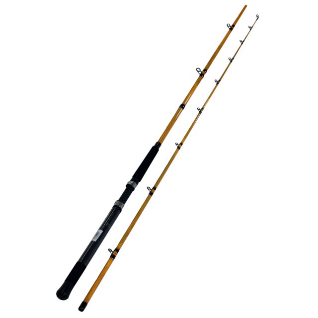 Daiwa Daiwa FT Boat Trolling Rod 9ft6 Medium Heavy Fast 2 Pieces