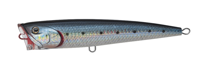 Daiwa Saltiga Dorado Popper Lure 5.5in 1 1/16oz Laser Maiwashi