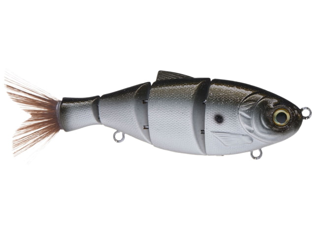 Duckett Fishing BD Shad Green Shad 6 in BDSHAD6-SS Green Shad