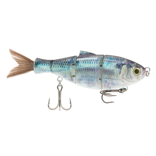 Duckett Fishing BD Shad Lit Up Blue Back Herring 6 in BDSHAD6-SS LitUp BBH