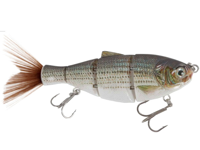 Duckett Fishing BD Shad White Bass 6 in BDSHAD6-SS White Bass