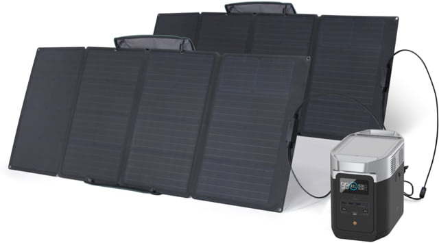 EcoFlow DELTA 2 w/ 2 Portable Solar Panel 160W Black