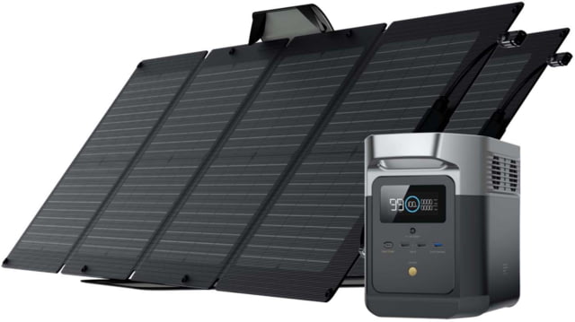 EcoFlow DELTA Mini w/ 2 Solar Panel 110W Black