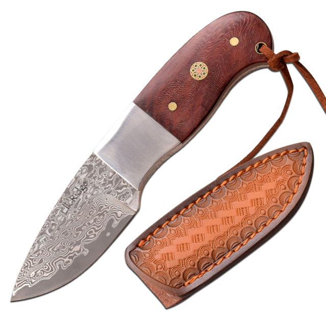 Elk Ridge Drop Point Fixed Blade Knife 2.25 in Damascus Steel Rose Wood