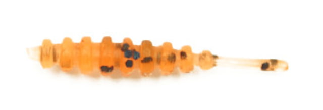 Eurotackle Eurogrub Jr.