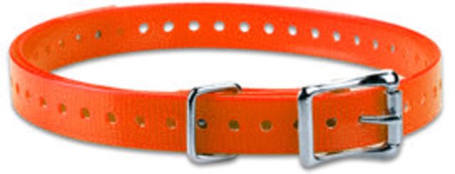 Garmin 3/4 in. Dog Collar Strap Orange