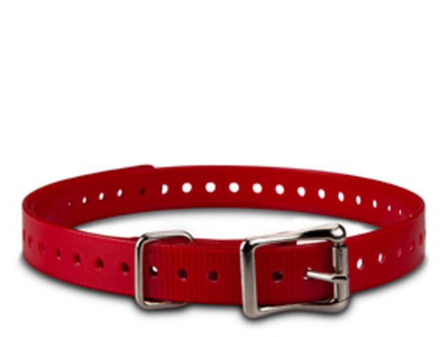 Garmin 3/4 in. Dog Collar Strap Red