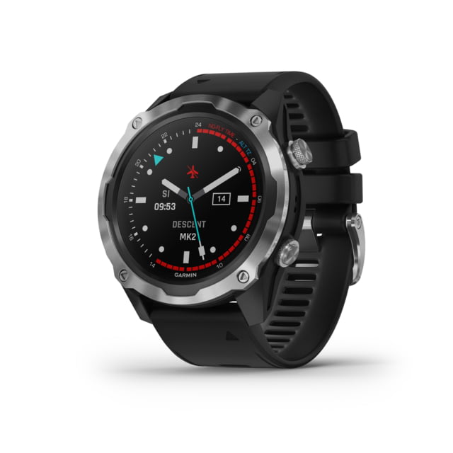Garmin Descent Mk2 Stainless Steel with Black Band Stainless/Black