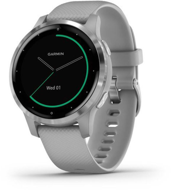 Garmin Vivoactive 4S GPS Smartwatch Powder Gray/Silver