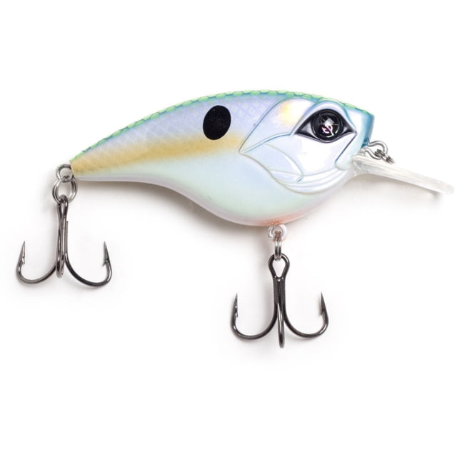 Googan Squad Flat Banger Hard Bait Mondo Shad 2.5