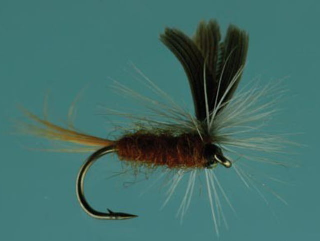Jackson Cardinal Dry Flies