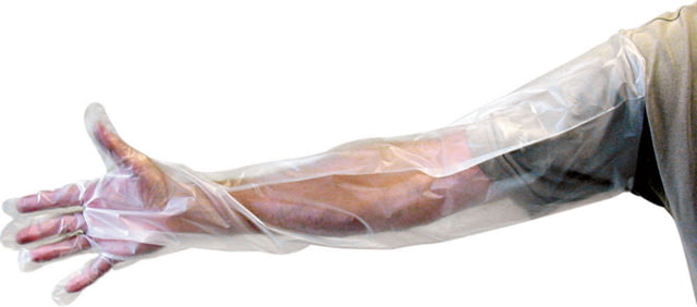 LEM Products Shoulder Length Poly Gloves 6 pair Clear