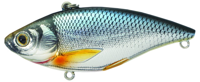 Live Target Livetarget Golden Shiner Lipless Rattlebait Sinking Silver/Blue 2 3/8in 1/4oz #8 Hook