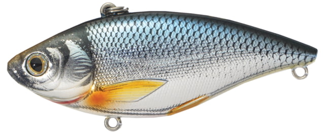 Live Target Livetarget Golden Shiner Lipless Rattlebait Sinking Silver/Blue 2 7/8in 1/2oz #6 Hook