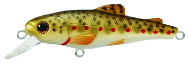 Live Target Livetarget Trout Fry Shallow Dive Jerkbait Sinking Brown Trout 2 3/4in 5/16oz #6 Hooks