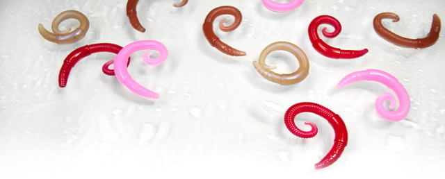 Lunkerhunt Lunkerhunt River Worm Worm 8 2in Bubble Gum