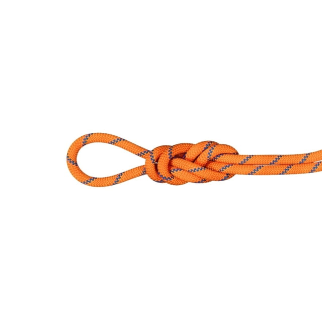 Mammut 9.0 Alpine Sender Dry Rope Dry Standard 60