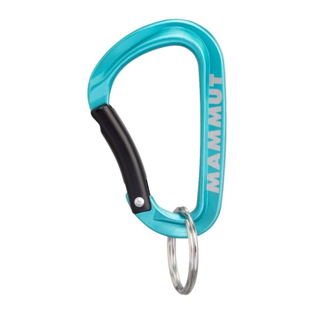 Mammut Mini Carabiner Classic Keylock S Blue One Size