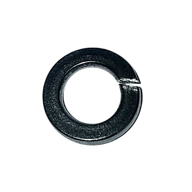 Maxwell Maxwell Washer Spring - 6mm - 304 Stainless Steel