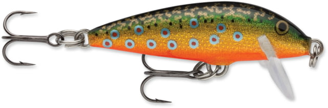 Rapala Rapala CountDown 03 Lure Brook Trout
