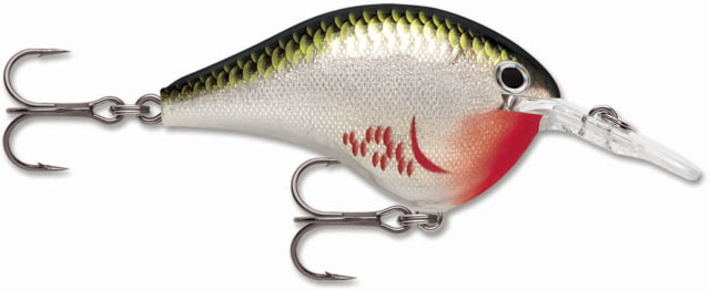 Rapala Rapala Dives-To 06 Lure Bleeding Olive Shiner
